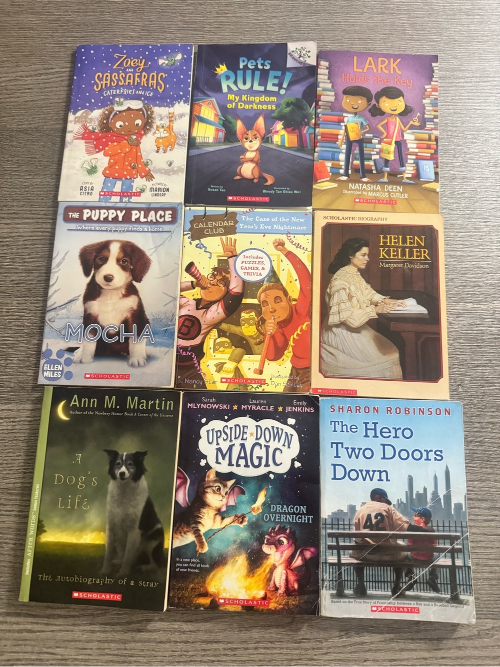 Scholastic Kids Elementary Chapter Books Lot Of 9